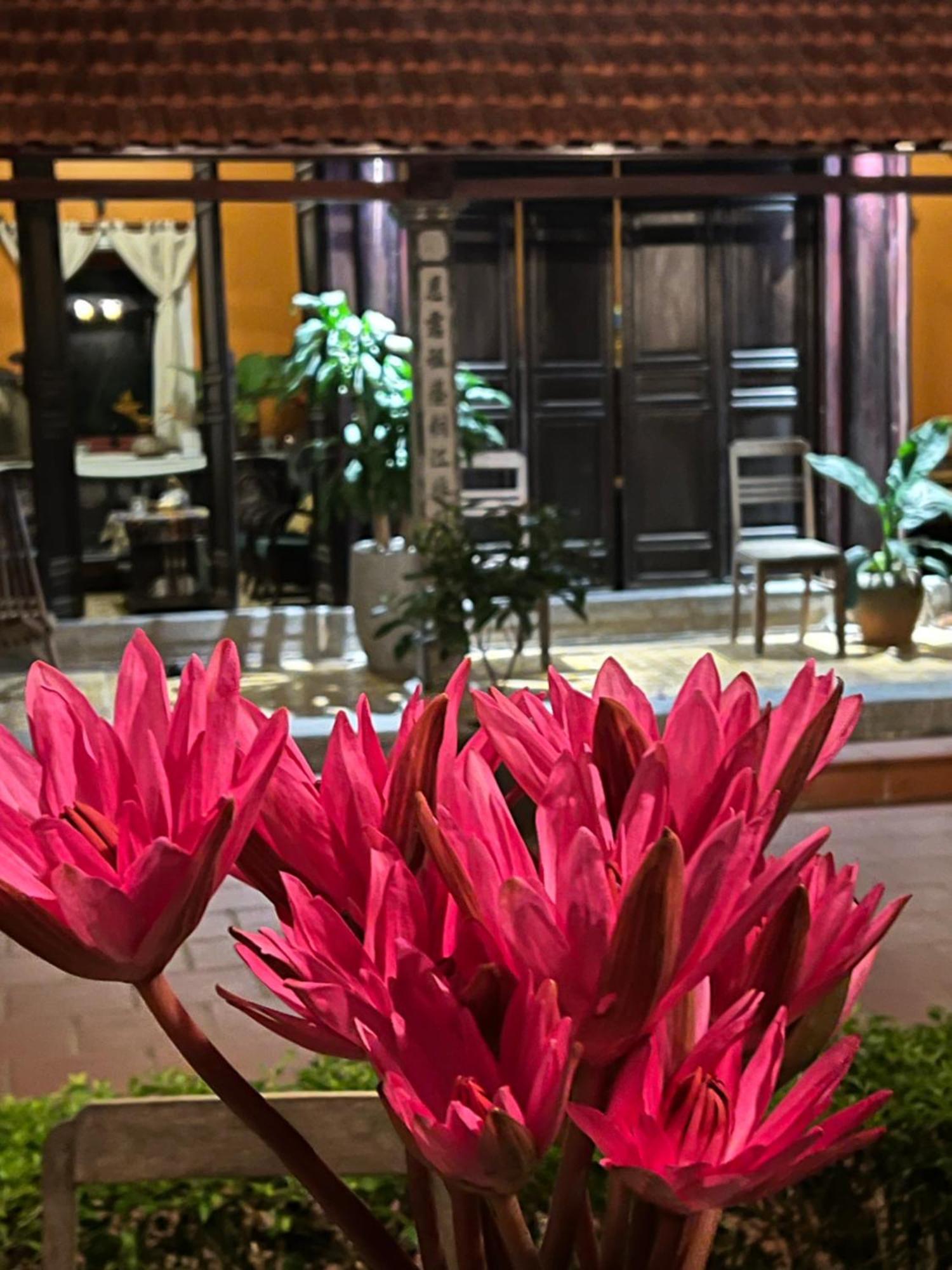 Thom'S House Hotel Ninh Binh Buitenkant foto