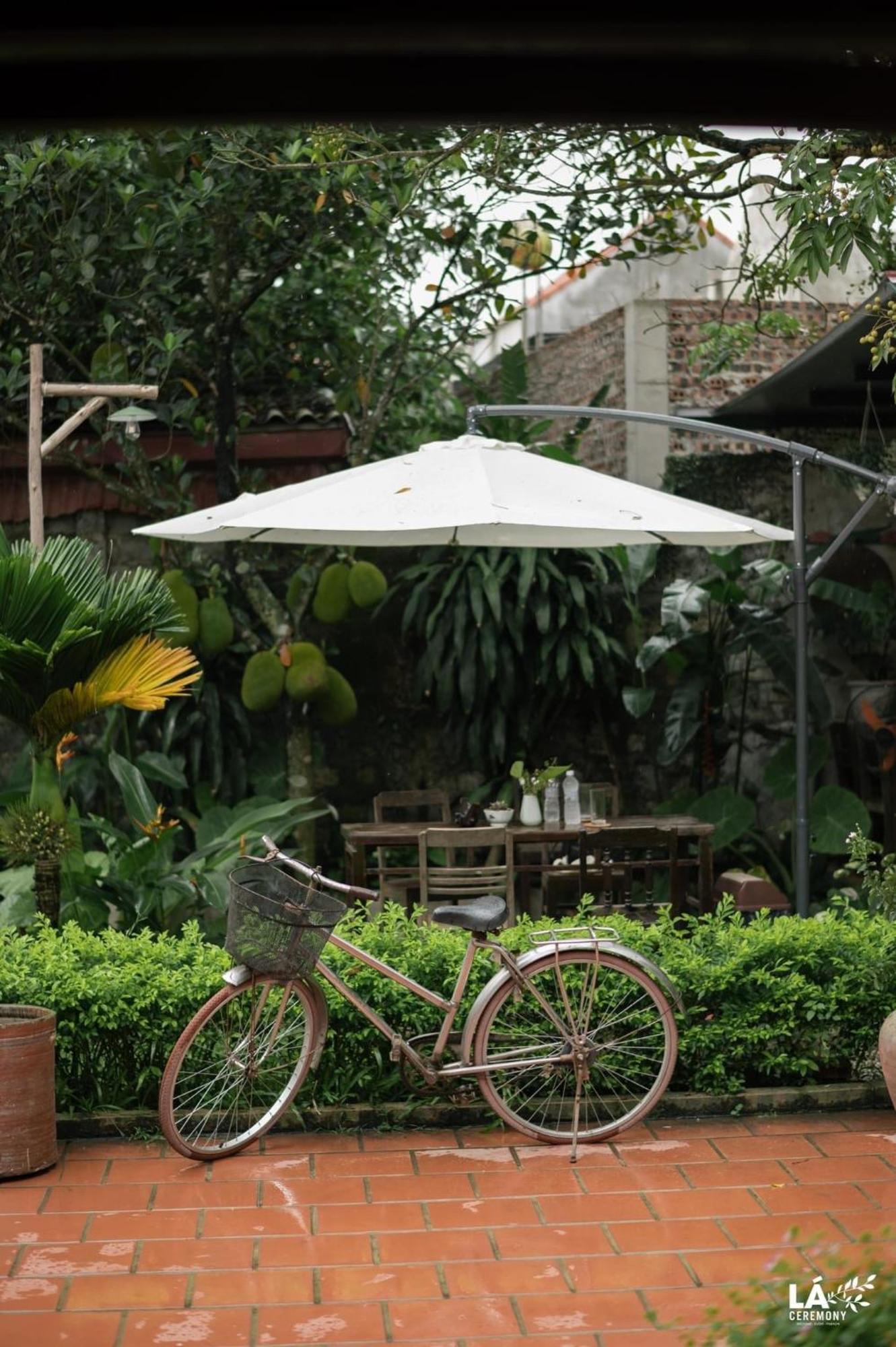 Thom'S House Hotel Ninh Binh Buitenkant foto