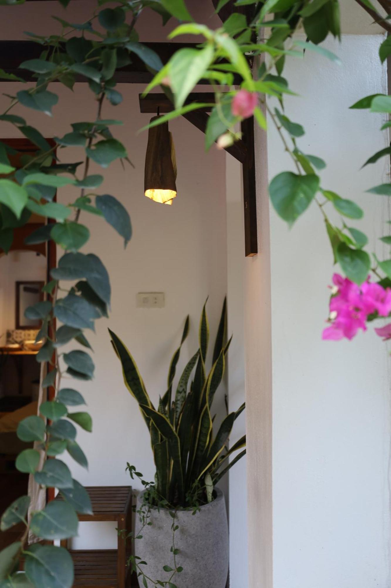 Thom'S House Hotel Ninh Binh Buitenkant foto