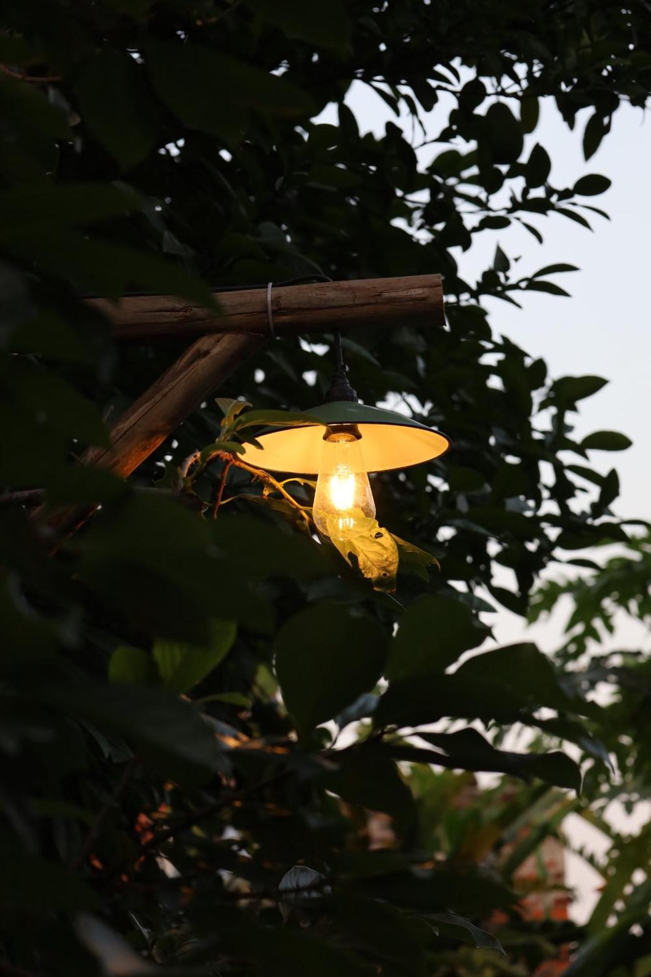 Thom'S House Hotel Ninh Binh Buitenkant foto