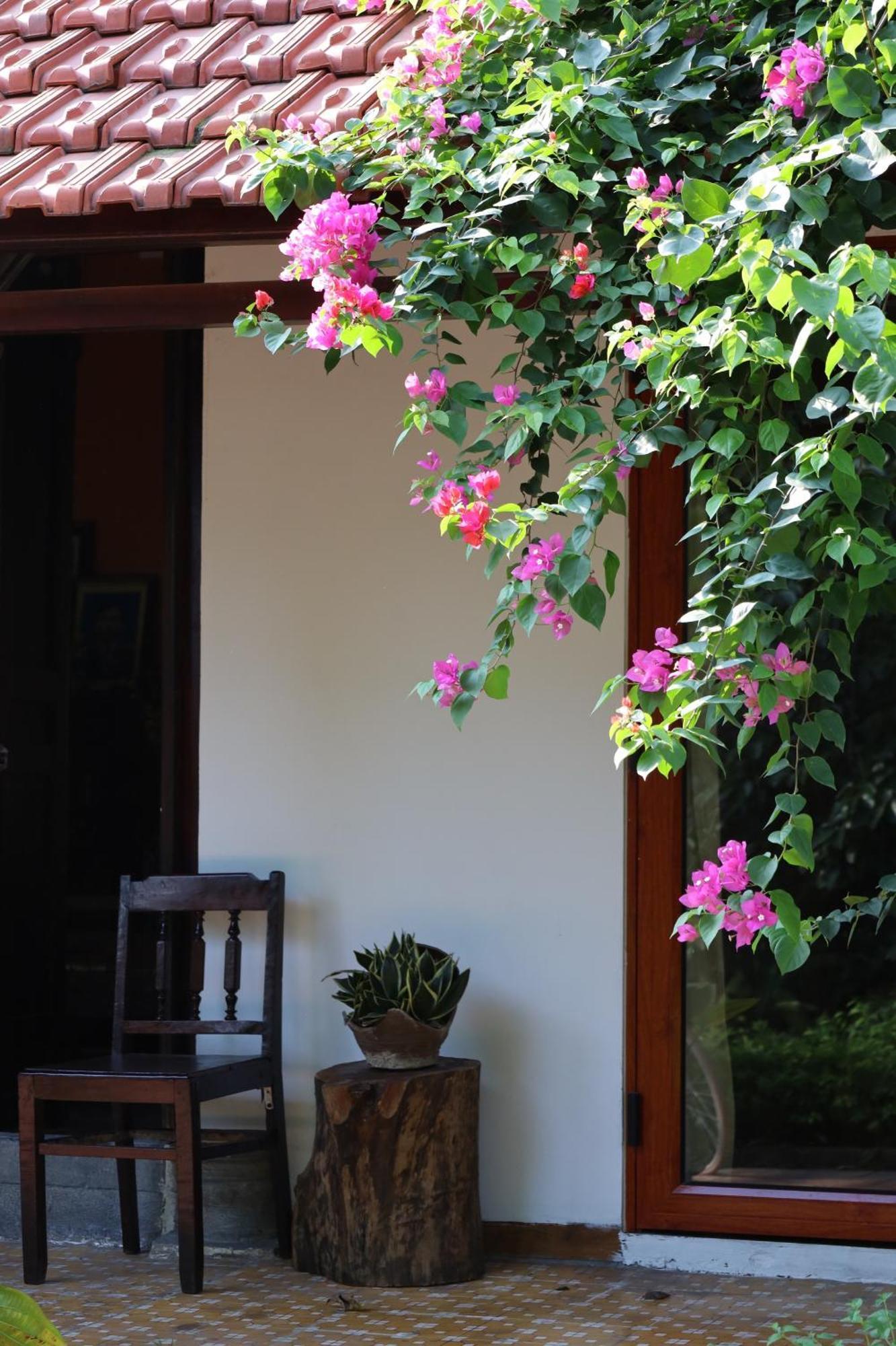 Thom'S House Hotel Ninh Binh Buitenkant foto